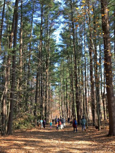 our group hikes a beautiful path in November at Mine Falls Park in New Hampshire