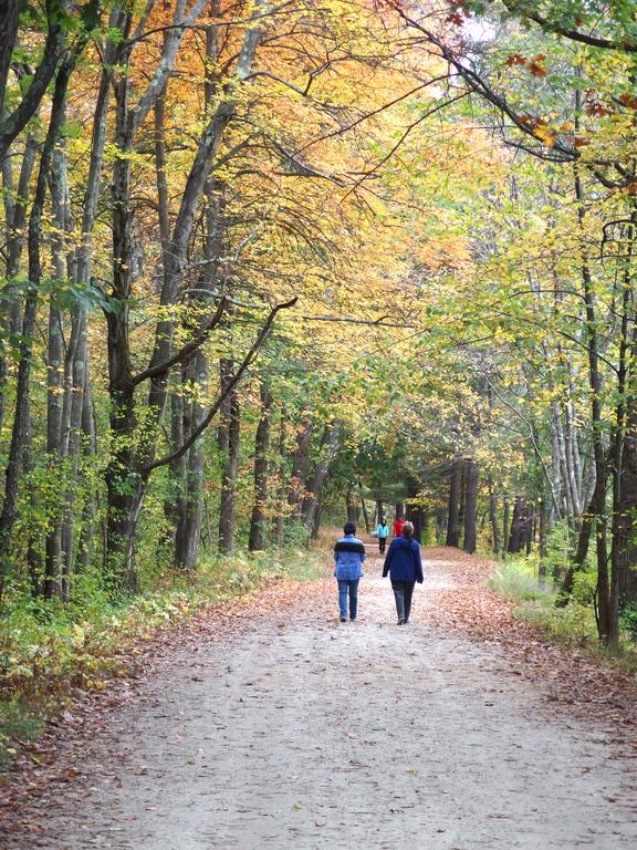 Nona and Betty Lou head down the main path towards Soifert Field at Mine Falls Park in New Hampshire