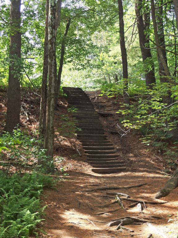 steps in June at Mine Falls Park in New Hampshire