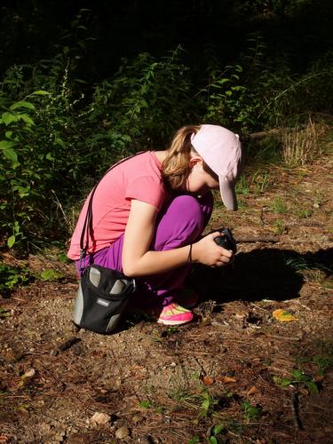 Talia stops to take a mushroom photo on the hike to Mine Hill in southern New Hampshire