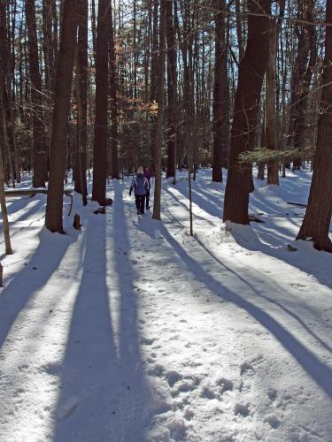Andee and Linda in January on the Forest Loop at Mink Brook Nature Preserve in western New Hampshire