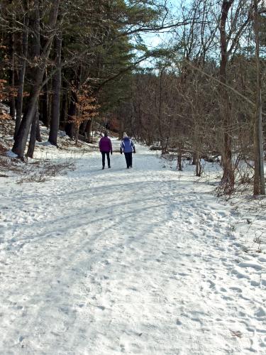 Quinn Trail in January at Mink Brook Nature Preserve in western New Hampshire