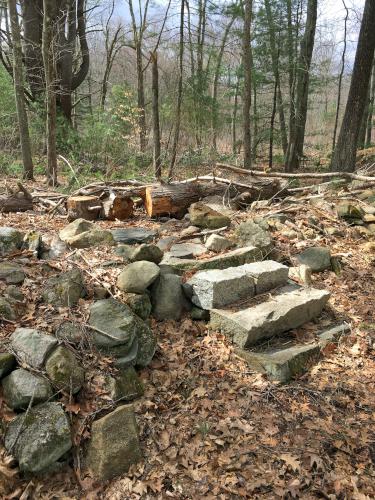 stone steps over a stone wall on the trail at Minnie Reid Conservation Area in northeastern Massachusetts
