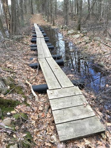 tube-supported boardwalk on the trail at Minnie Reid Conservation Area in northeastern Massachusetts