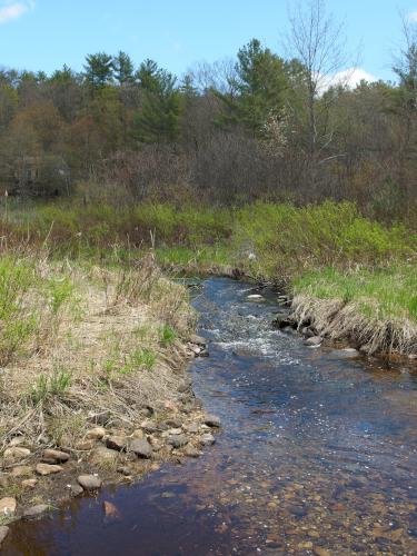 stream at Miriam Forest near Rindge in southern New Hampshire