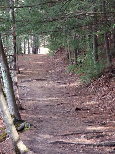 path at Mount Misery near Lincoln in northeastern Massachusetts