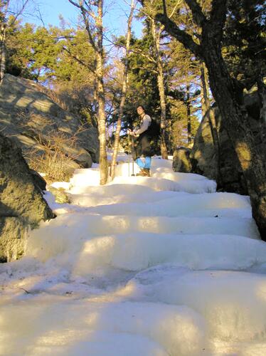 icy trail to Mount Monadnock NH