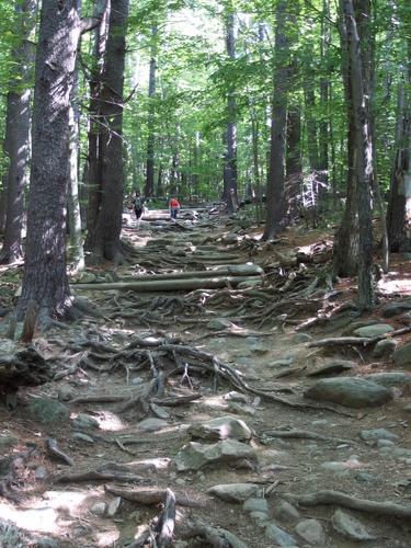 White Dot Trail -- heavily used and gnarly -- to Mount Monadnock in southern New Hampshire