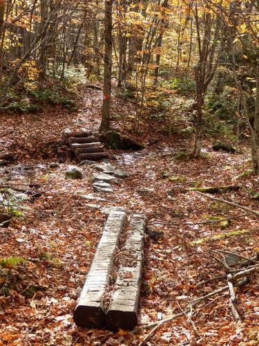 planks on the trail to Moose Mountain in New Hampshire