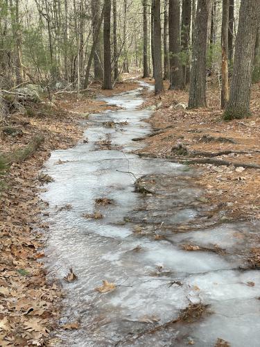 icy trail in December at Moose Hill in eastern Massachusetts