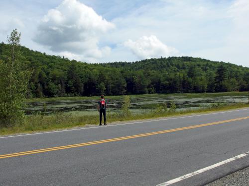 Carl checks out a swampy area in July across Route 4A from Morgan Pond Mountain in southern New Hampshire