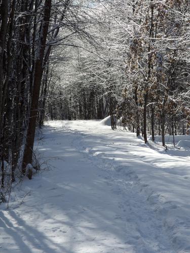 trail at Morono Park near Concord in southern New Hampshire