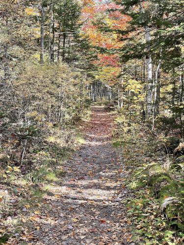trail in October at Mountain Pond in New Hampshire