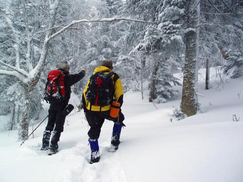 winter bushwhackers navigate toward Muise Mountain in New Hampshire