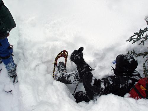 winter hiker caught in a spruce trap at Muise Mountain in New Hampshire