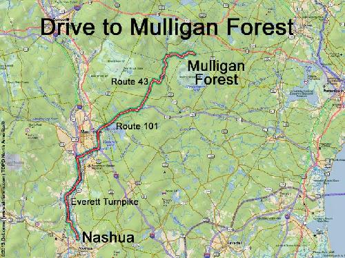mulligan forest drive route