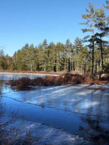trailside pond at Mulligan Forest in southern New Hampshire