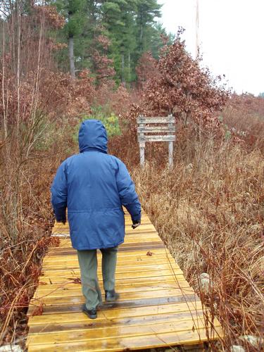 a hiker on the Betty Mack Trail to Musquash Conservation Area in New Hampshire