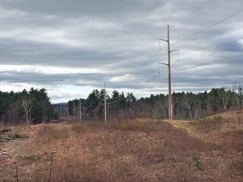 powerline swath view in April at Musquash Conservation Area in Londonderry NH