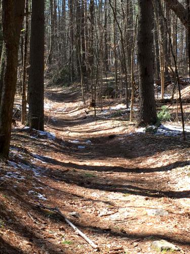 trail at Musquash Conservation Land at Hudson in southern New Hampshire