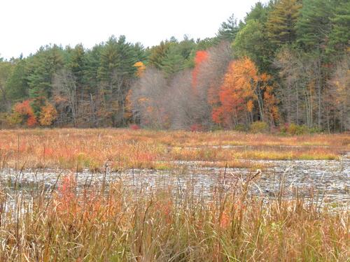 Musquash Pond in New Hampshire