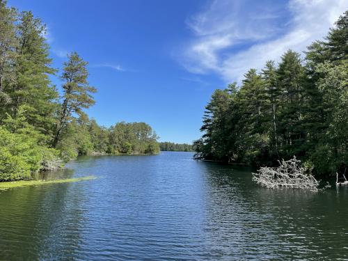 East Head Reservoir in June at Myles Standish State Forest in eastern Massachusetts