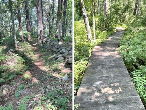 trail in July at Mystery Spring at Westford in northeast MA