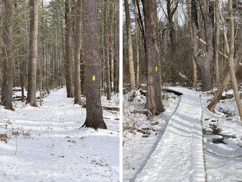 trails in January at Nagog Hill Conservation Land in northeast MA