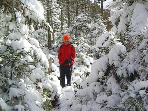 hiker in the snow near Nancy Pond on the way to Mount Nancy in New Hampshire