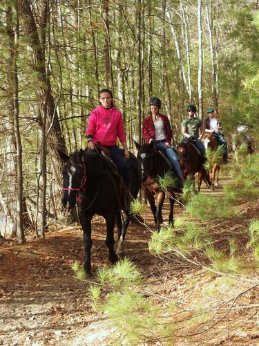 horseback riders at Nashoba Brook Watershed in eastern Massachusetts