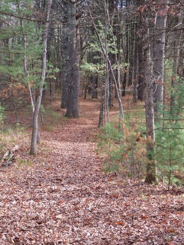 trail at Nashoba Brook Watershed in eastern Massachusetts