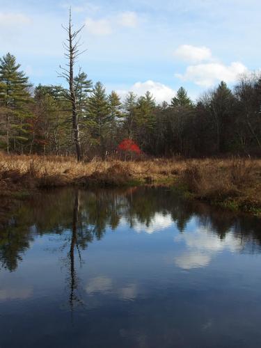 Nashoba Pond at Nashoba Brook Watershed in eastern Massachusetts