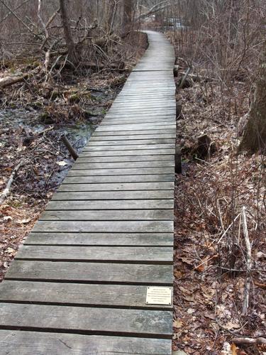 walkway at Nashoba Brook Conservation Land in northeastern Massachusetts