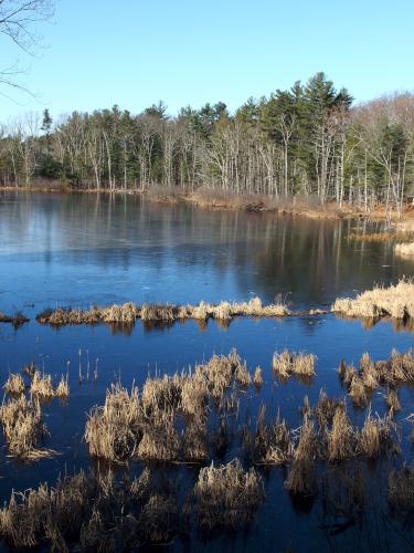 pond beside the Nashua River Rail Trail in Massachusetts