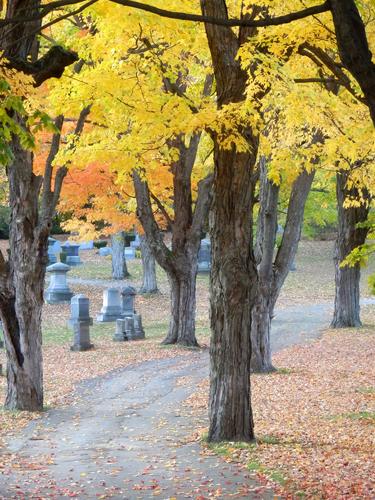 colorful fall path in Edgewood Cemetery in New Hampshire