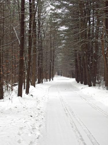 access road to the parking area for hiking Nashua Railroad North in southern New Hampshire
