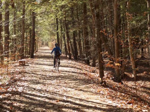 Andee bikes in November on the New Boston Rail Trail near New Boston in southern New Hampshire