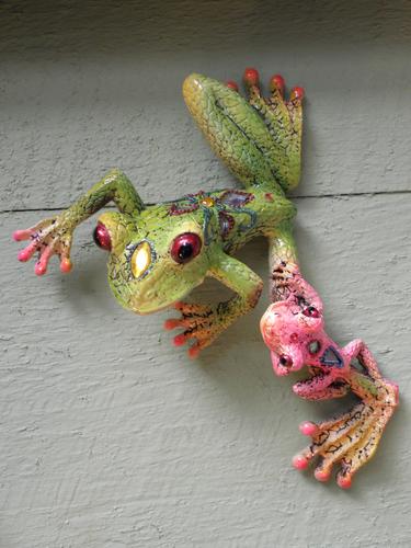 frog duo on a souvenir shop wall at Newburyport in eastern Massachusetts