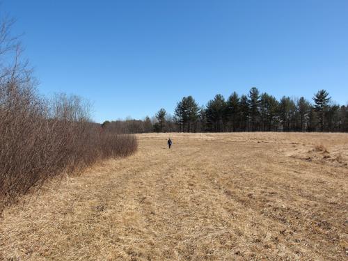 Andee hikes the meadow edge at Nissitissit Meadows in Pepperell, MA