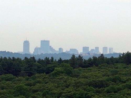 view of the Boston skyline from Noanet Peak at Noanet Woodlands in eastern Massachusetts