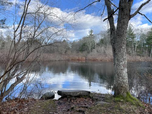 pond in December at Norris Reservation in eastern Massachusetts