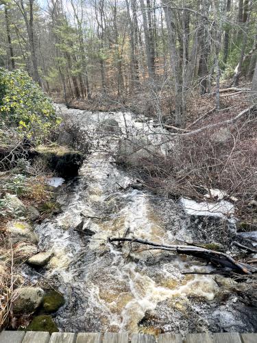 stream in December at Norris Reservation in eastern Massachusetts
