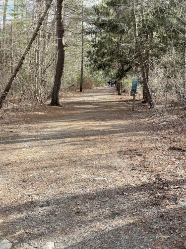 trail in December at Norris Reservation in eastern Massachusetts