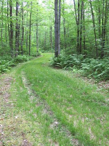 Hild N Dale Trail at Northfield Mountain in north central Massachusetts