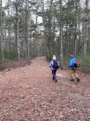 trail in January at North Hill Marsh in eastern Massachusetts
