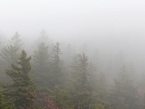foggy view in April at North Pack Monadnock Mountain in southern New Hampshire