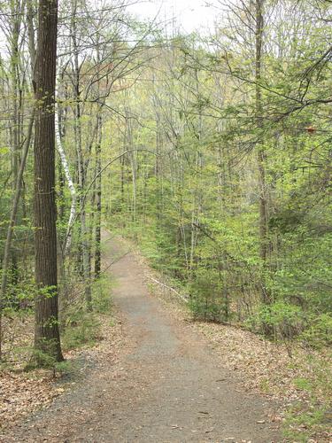 early-spring pathway to Mount Norwottuck in the Holyoke Range of Massachusetts