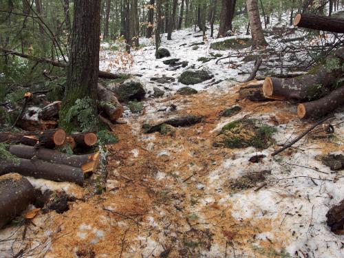 trail maintaining in December at Nottingcook Forest near Bow in southern New Hampshire
