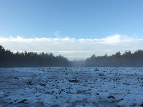 Great Meadow in December at Nottingcook Forest near Bow in southern New Hampshire