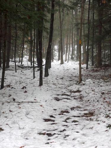 trail in December at Nottingcook Forest near Bow in southern New Hampshire